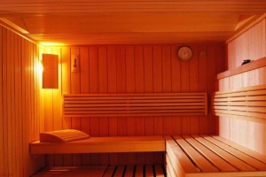 What Are the Different Types of Saunas and Their Benefits?